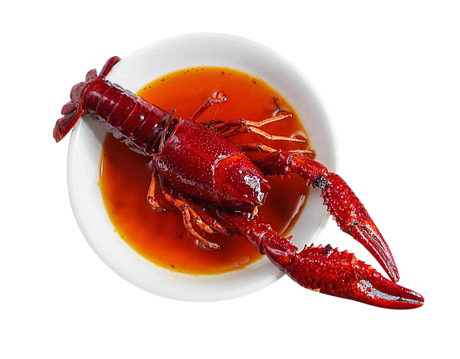 小龙虾png