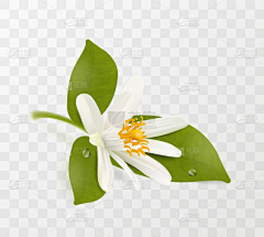 hhey:)采集到试稿