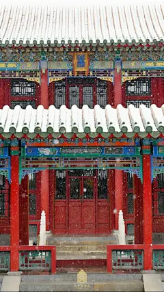 
春雪满空来

故宫开始了一个新的四季轮回……