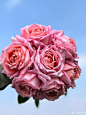ada7fbf7gy1hwnza4fr6qj22dc35s4qq