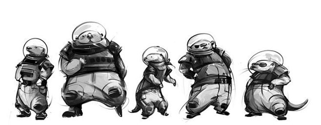 Ferrets