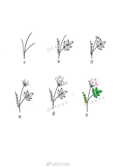 很详细的植物简笔画。 #手绘作品#（作者：@艺术之佳作 ） ​ ​​​​