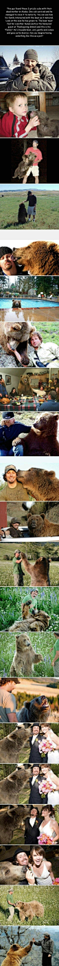 美国人安德森在阿拉斯加发现了一对母亲死去的小熊，其中一只挣扎着活了下来并被他收养带回家，然后这只熊就成了他们家庭中的一员，结婚时还当了伴郎！！！