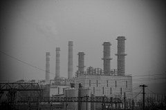 陌陌离草采集到脏车