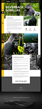 National Geographic - The Endangered Species (Concept) : National Geographic - The Endangered Species Web App Concept. The purpose of this site is to Educate, Raise Awareness and to Take Action in the protection and conservation of different animal specie