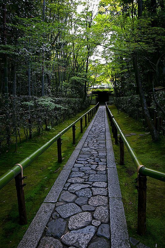 Early summer in Koto...