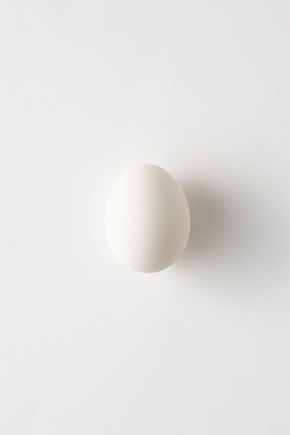 ~ an egg ~