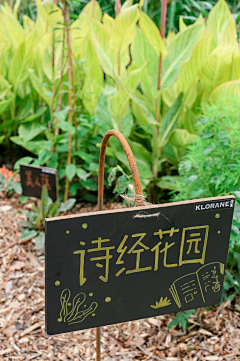 律勒拓町采集到马D
