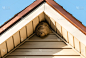 黄蜂巢,屋顶,纸,铁路侧线,三角形,在下面,天空,褐色,洞,水平画幅