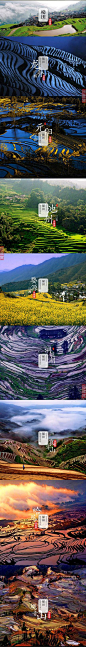 中国的梯田—地球上最美的曲线之一，你喜欢吗？酷旅图：www.coollvtu.com