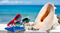 accessories, vacation, glasses, sun, beach, sea, blue sky, summer, shells