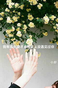 森屿暖树墒以光年采集到图片