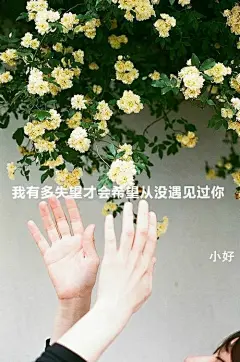 原创自制壁纸-平铺壁纸-文字壁纸-萌壁纸-锁屏壁纸-英文壁纸-字母壁纸-星空壁纸-星座壁纸-励志壁纸-iPhone壁纸-手机壁纸-电脑壁纸-心情文字-语录-长句-短句-歌词-文字控-美文美图-✿