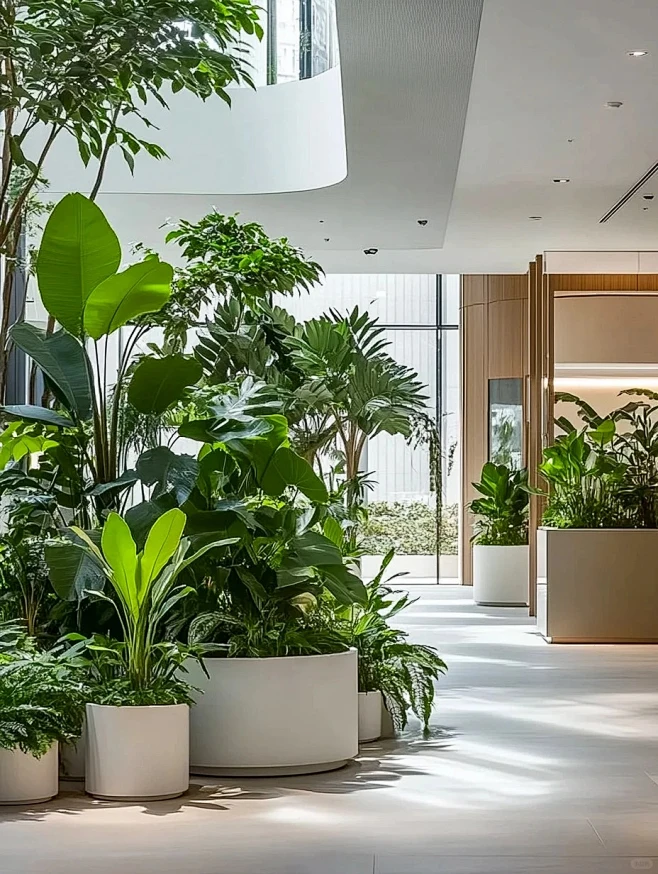 城市展厅绿植设计_2_植觉instinct-空间美学_来自小红书网页版-花瓣网