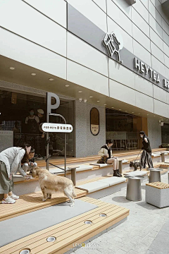 老了会很帅采集到宠物医院 猫咖