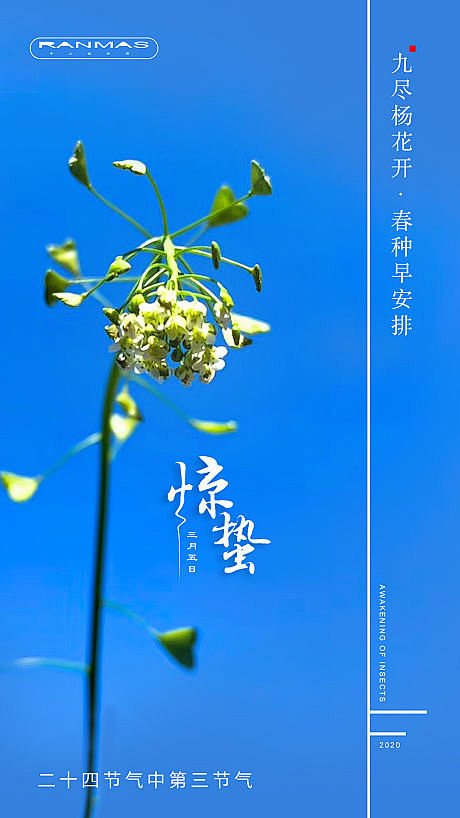 【源文件下载】 海报 惊蛰 二十四节气 ...