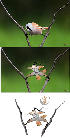 朱柏屁采集到鹿溟山