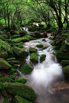 街角ず等待采集到【美景、景色】