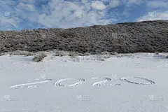 在雪地里的海滩上，祝你2020年新年快乐