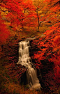 Autumn | ~*~ Nature's Veil ~*~