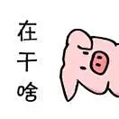 小黄不吃饭