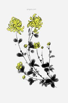 FimmerseL采集到工笔画