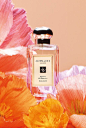 Plucked from the fields of its special edition origins, Jo Malone London turns the seasonal favorite Poppy &Barley into a lifetime classic Related:Experience The Unexpected With Jo Malone London’s Latest The post From Limited Edition To Permanent Coll