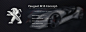Peugeot M15 : partnership project with Peugeot