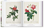 【Taschen40周年纪念版】Redoute Book of Flowers 雷杜德花之书 花卉画家雷杜特水彩画作品集 英文原版花卉绘画书籍 善本图书-tmall.com天猫