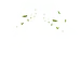 风效