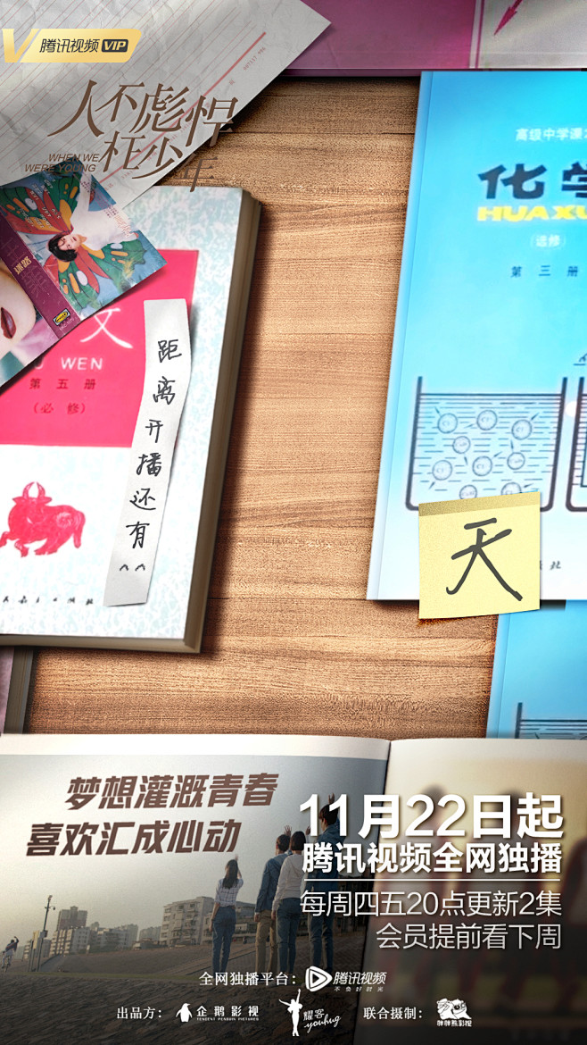 人不彪悍枉少年倒计时海报