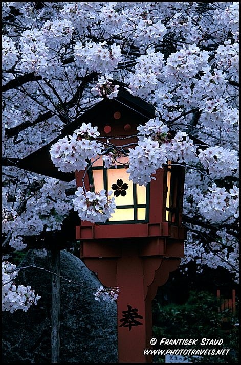 Hirano Shrine, Kyoto...