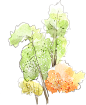 唯美水彩手绘墨迹树木树叶盆栽园艺花卉插画叶子PNG免扣设计素材
