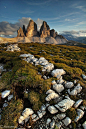 Path to the Mountains