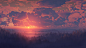 自然， 日落， 树木， 云彩 |1920x1080 壁纸 - wallhaven.cc