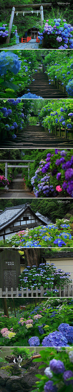 芝士菌采集到氛围场景