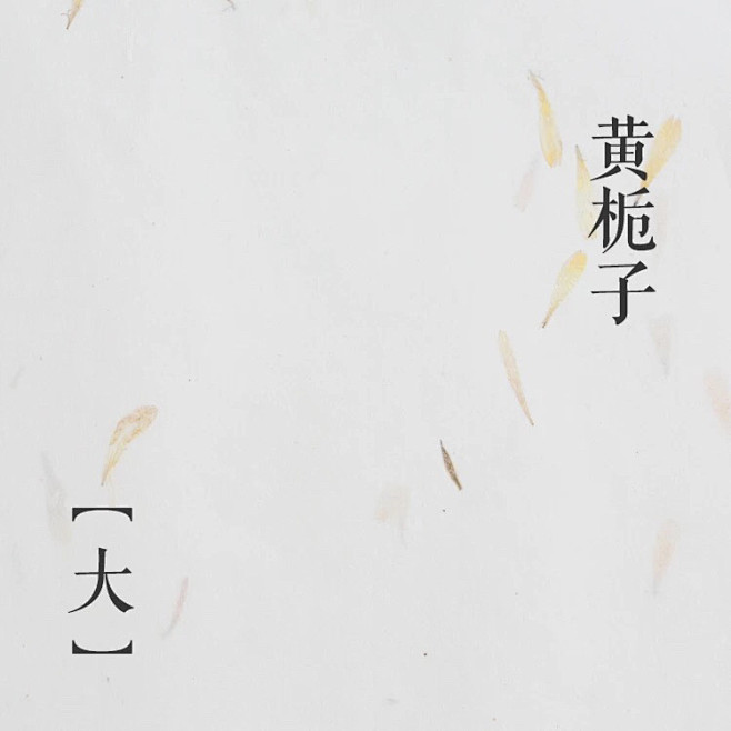 信纸