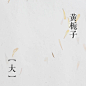 信纸