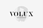 独特简约奢侈品牌英文衬线字体免费下载 VOLUX - Luxury Branding