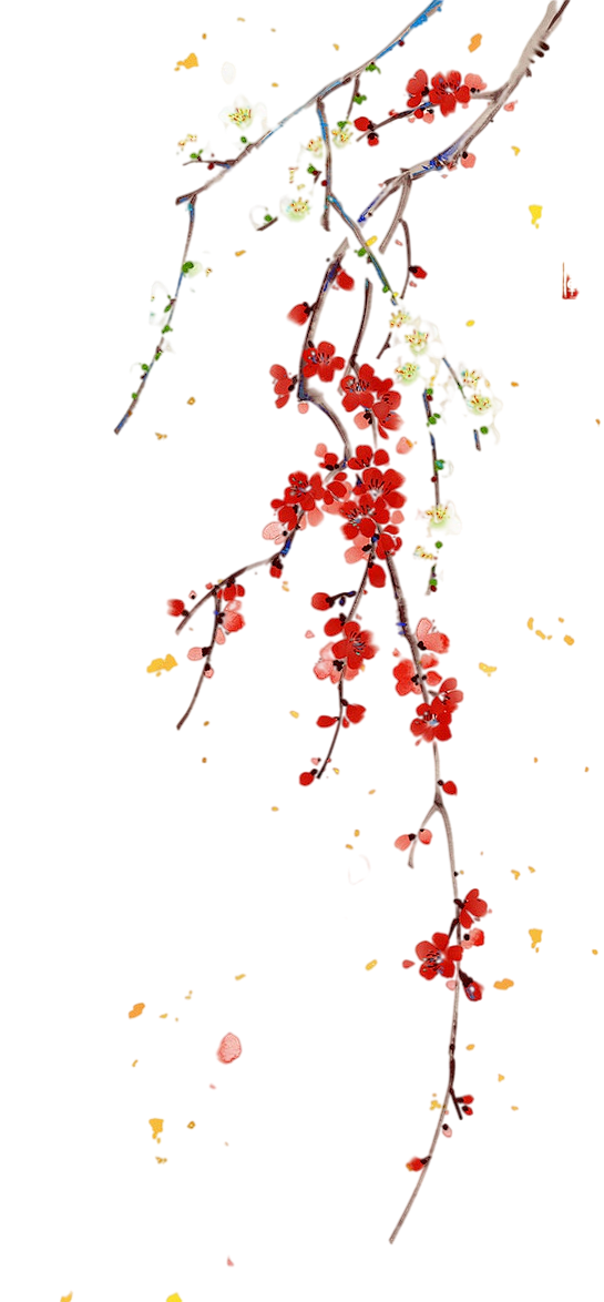 红色梅花png (6)