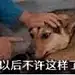 百里打不中