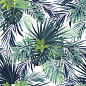 热带气候,植物学,绿色,矢量,式样,暗色,背景,棕榈叶,异国情调,热带的花