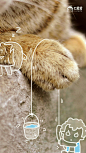 萌萌哒猫咪可爱配图
#猫咪##萌宠# #喵星人#