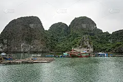 越南南中国海北部湾下龙湾的浮动渔村。由不同大小和形状的喀斯特塔和岛屿形成的景观。