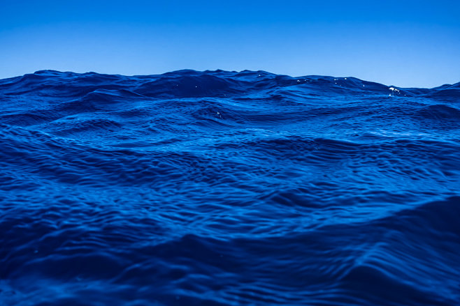Ocean Energy on Beha...