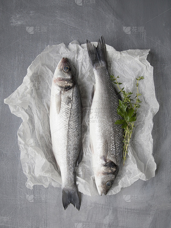 fish4