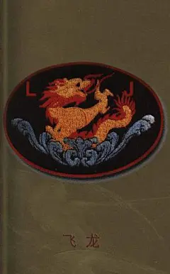 中国特种兵的独特标志：七个特种大队袖标
