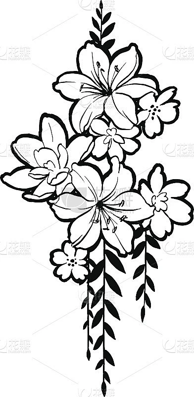 手绘一组花装饰。素材-花瓣网