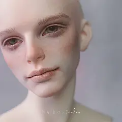 来自相册