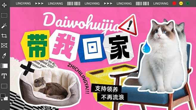 宠物救助领养宣传横版视频封面